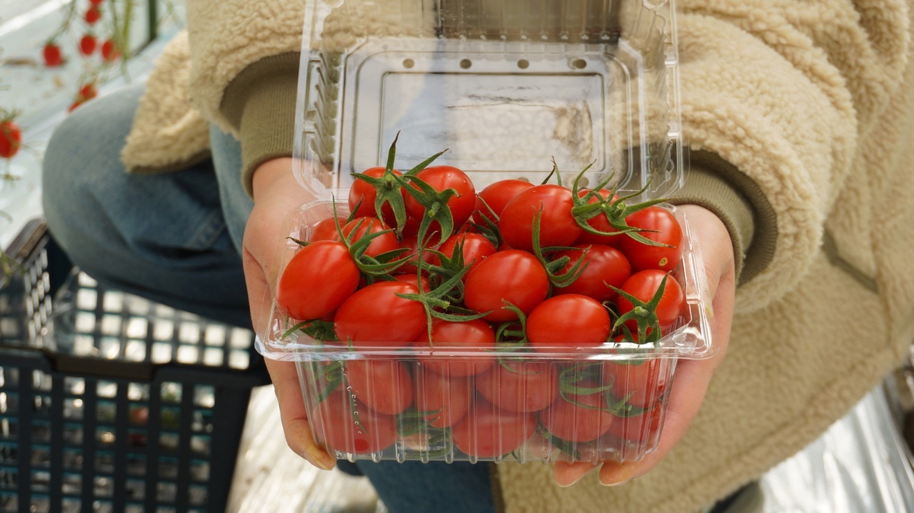 無添加100%アイコトマトジュース「果純-Kasumi-」