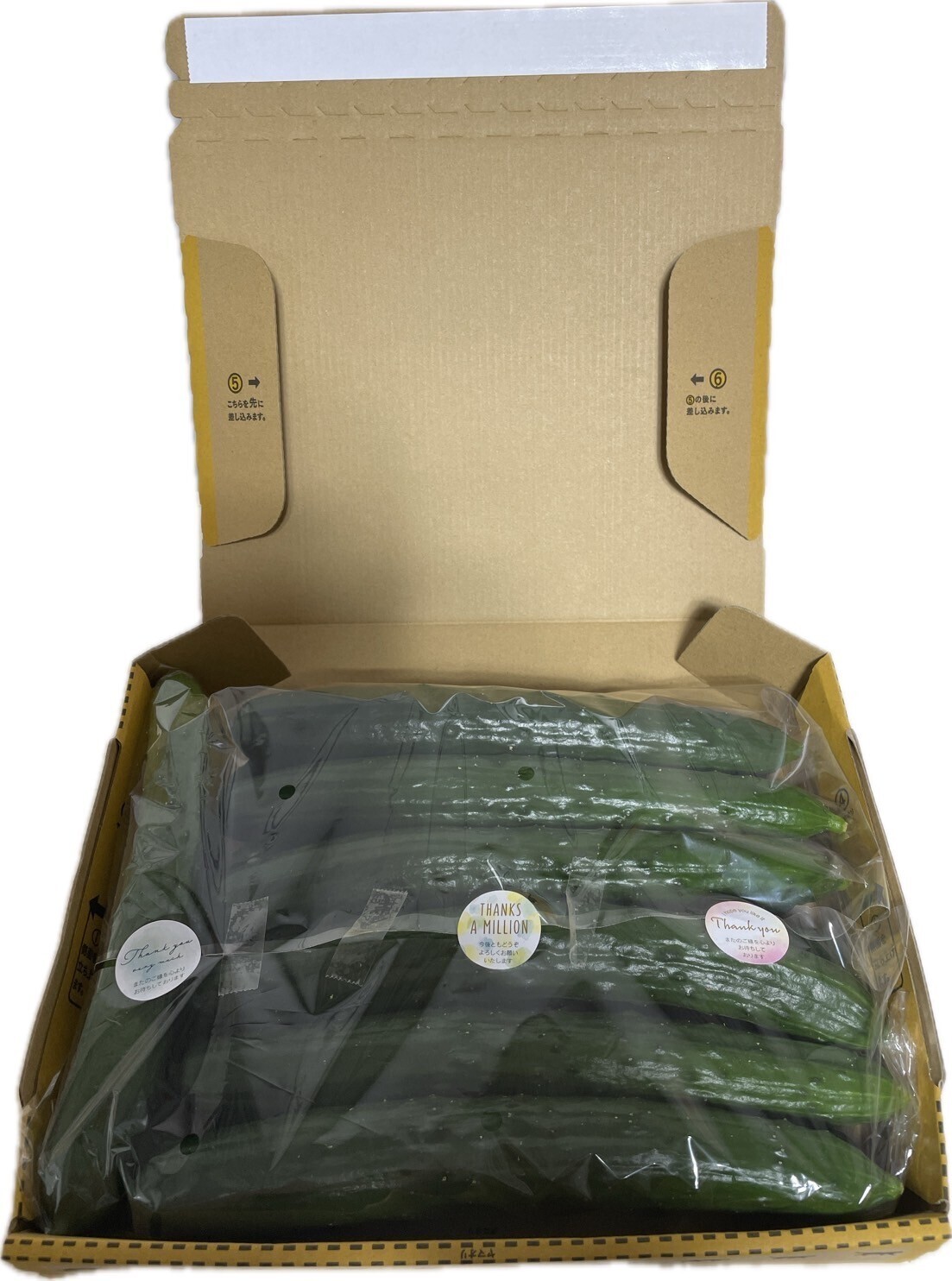 朝採りたて　まっすぐきゅうり🥒 12本～
