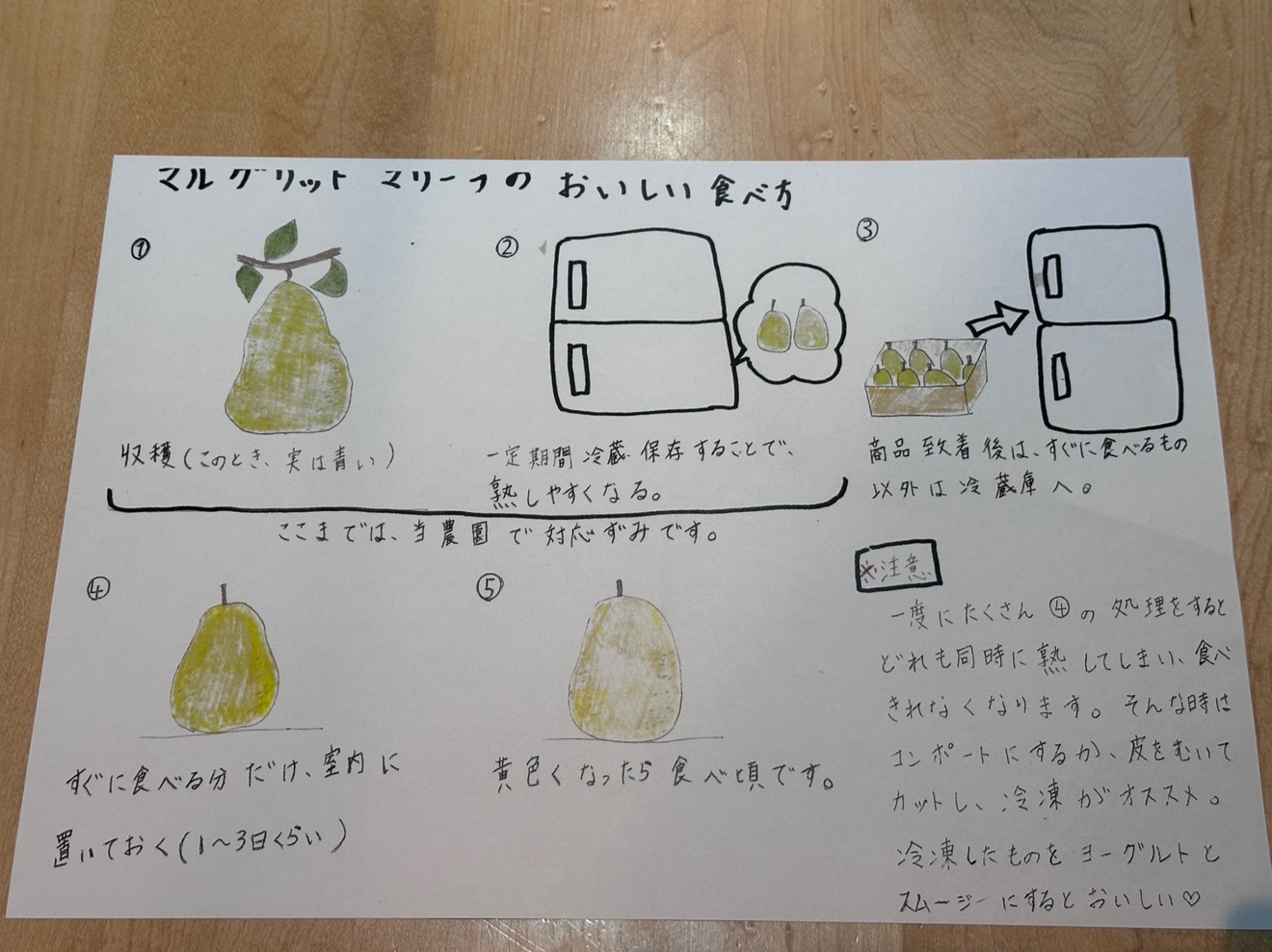 【数量限定】希少マルゲリット・マリーラ 3kg 小玉無選別で特別価格
