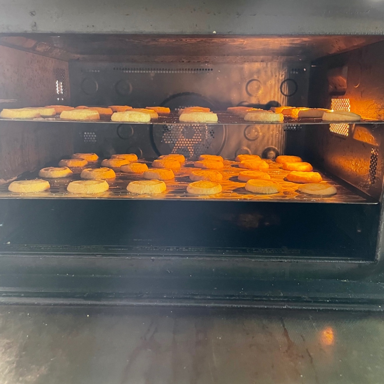 推しを守れ！DSFクッキー総選挙2026【厚焼きクッキー16枚+投票権】3/6発送分