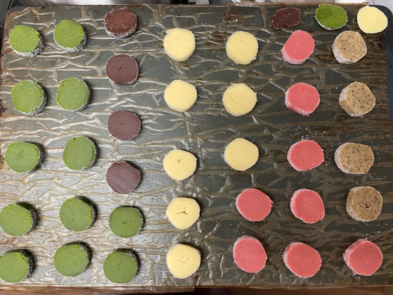 推しを守れ！DSFクッキー総選挙2026【厚焼きクッキー16枚+投票権】3/6発送分