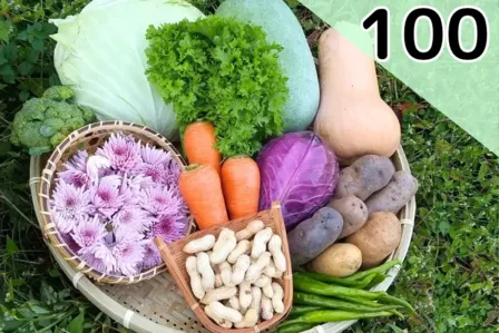 【100サイズ】きよちゃんの新鮮野菜セット！【旬の野菜】