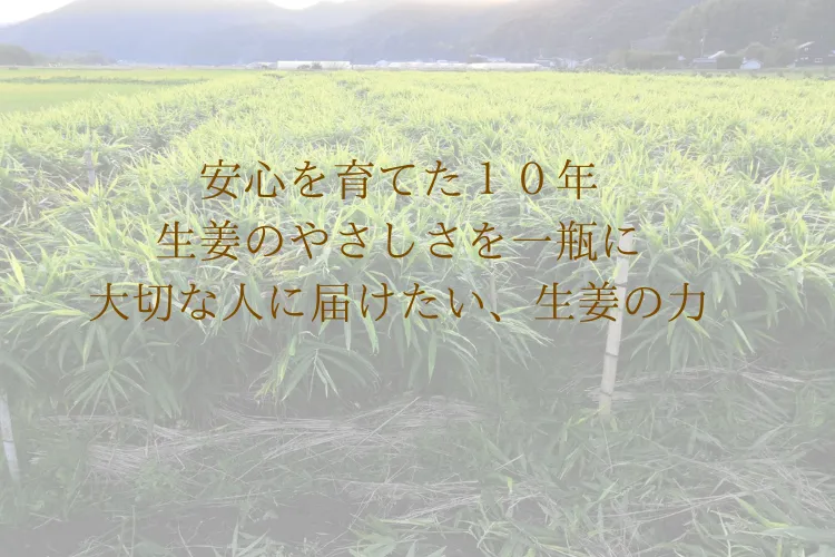 体にやさしいジンジャーシロップ
