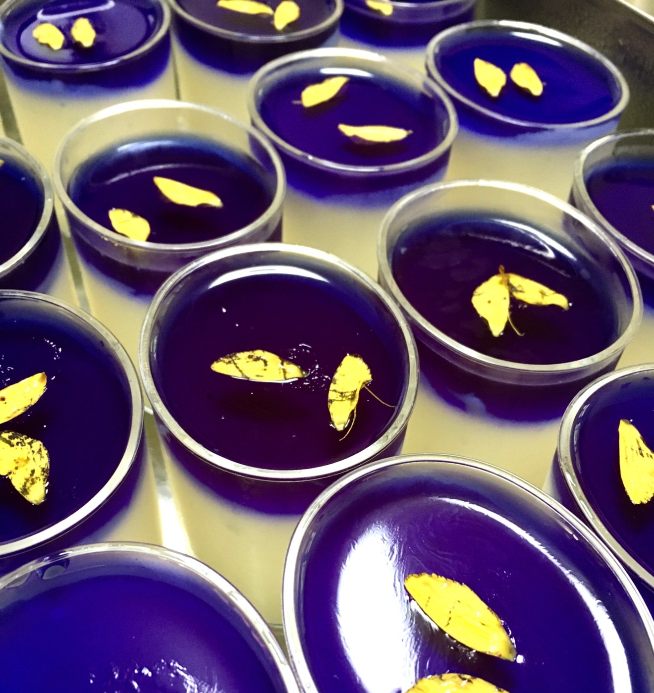 美容と健康の強い味方
古民家の畑で種から育てた
有機無農薬栽培バタフライピーティー