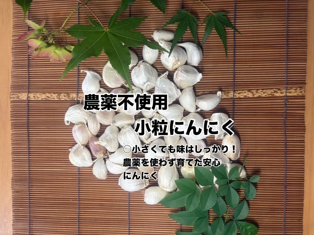農薬不使用・480gにんにく(小さめがいっぱいお得用)
