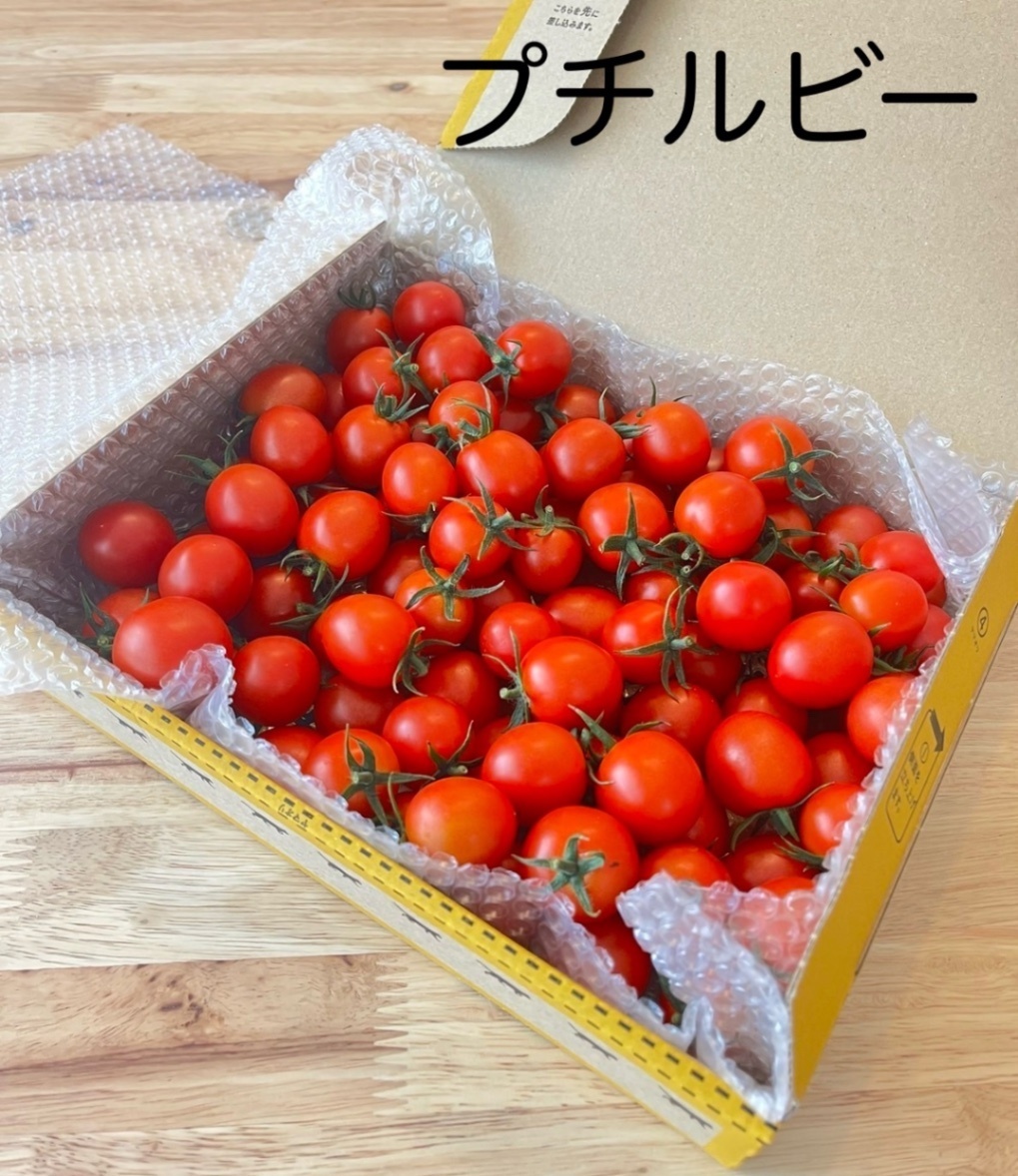 宮崎県産ひなたミニトマト　プチルビー800g
