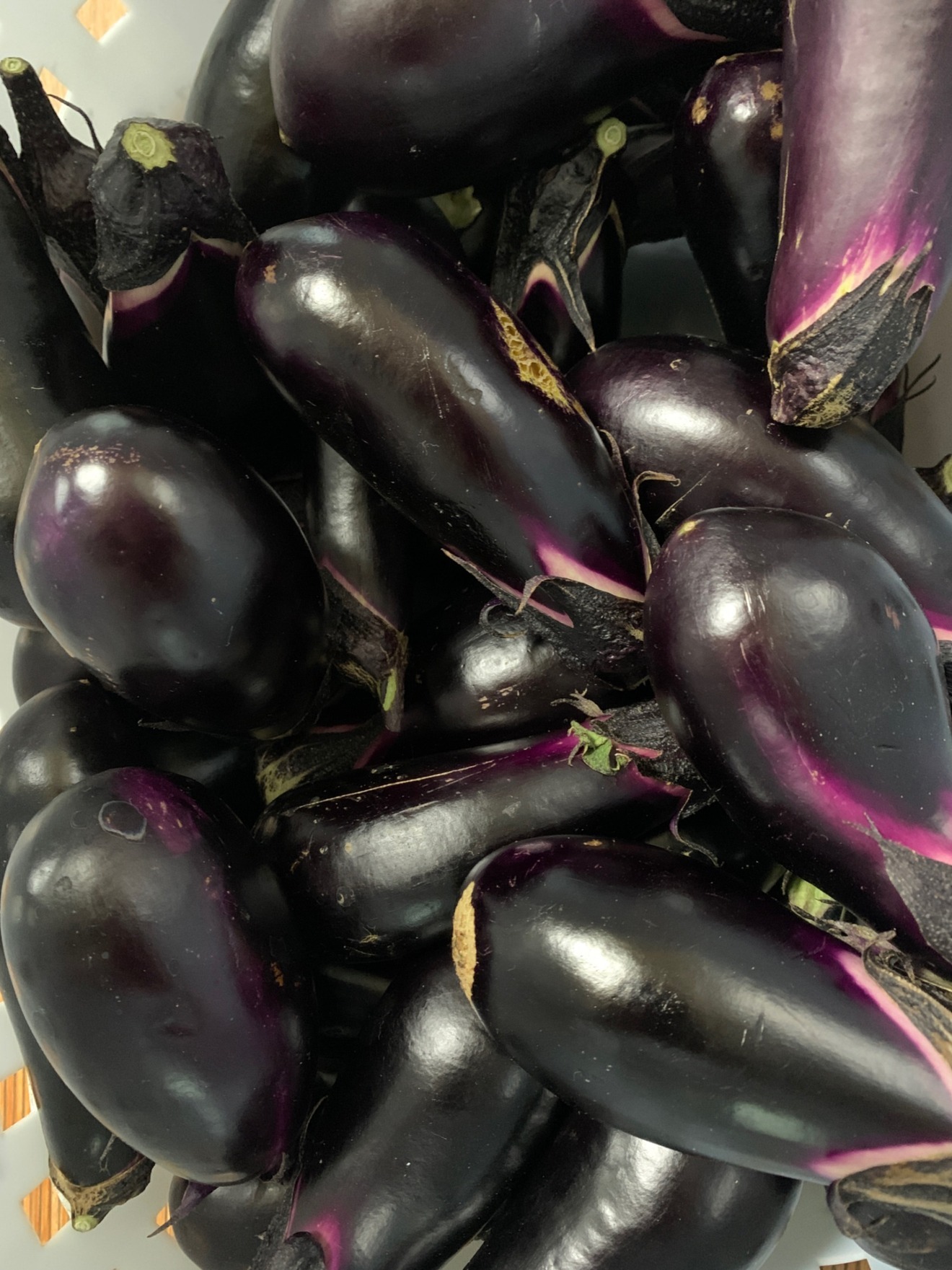 無農薬　ナス　６０センチの箱にいっぱい