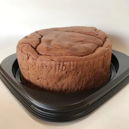 グルテンフリー 豆乳米粉スポンジケーキ（オーガニックココア）アレルギー対応 ケーキ 