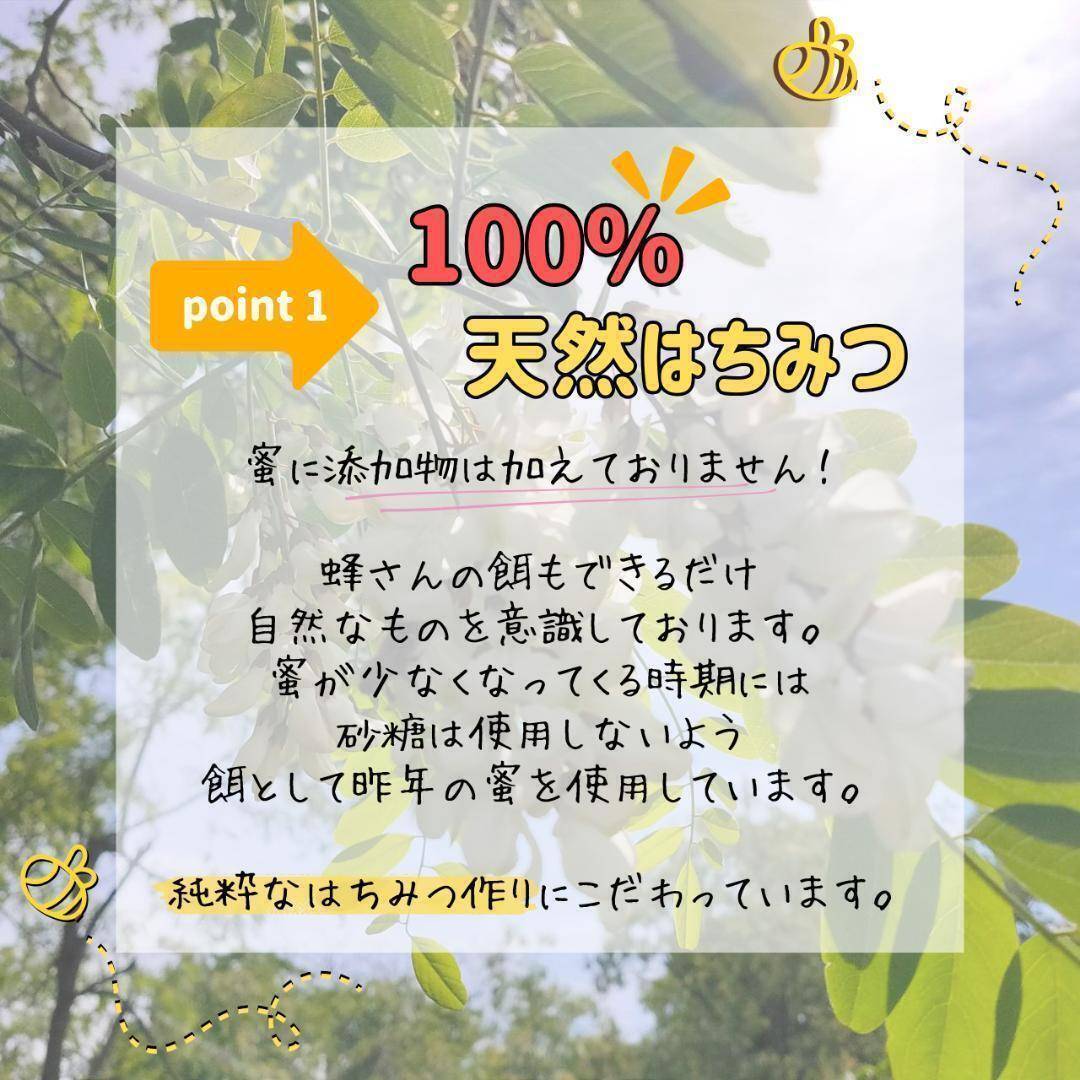 【アカシア】はちみつ 600g 1瓶 蜂蜜 ハチミツ セイヨウミツバチ 鳥取県産