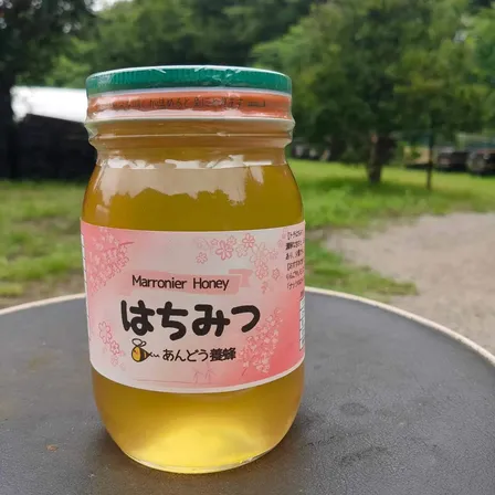 【トチ】はちみつ 600g 1瓶 蜂蜜 ハチミツ セイヨウミツバチ 鳥取県産