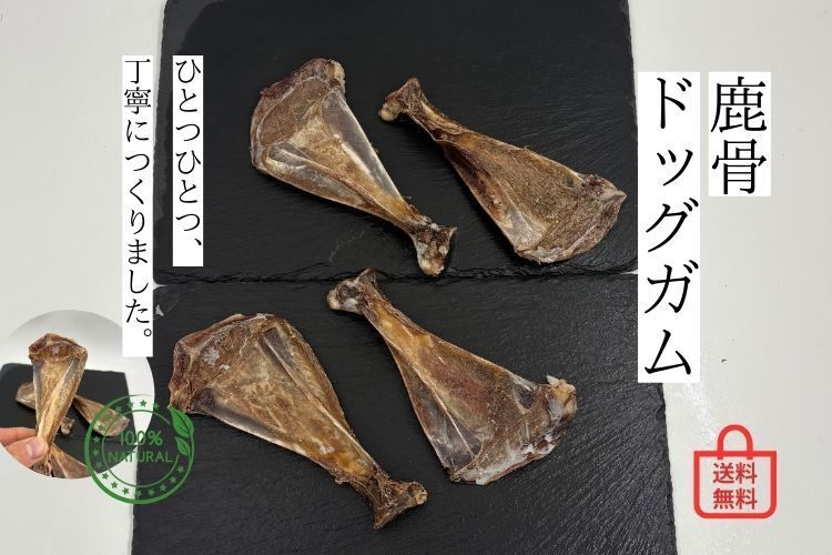 【天然ドッグガム】鹿の肩甲骨