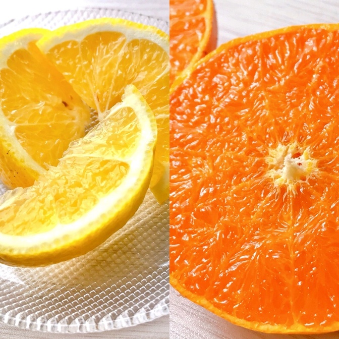 せとか2キロ　＆　はるか2キロ