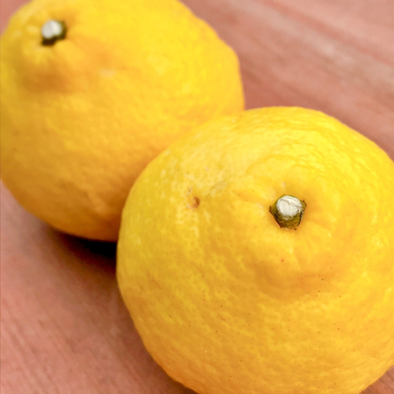 せとか2キロ　＆　はるか2キロ