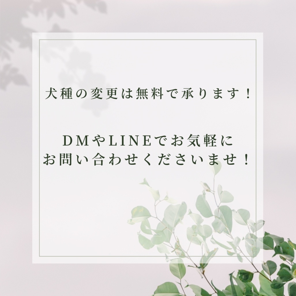 しっぽがゆれる！ふりふりわんこ時計_バーニーズマウンテンドッグドッグ（尻尾の先ホワイト）