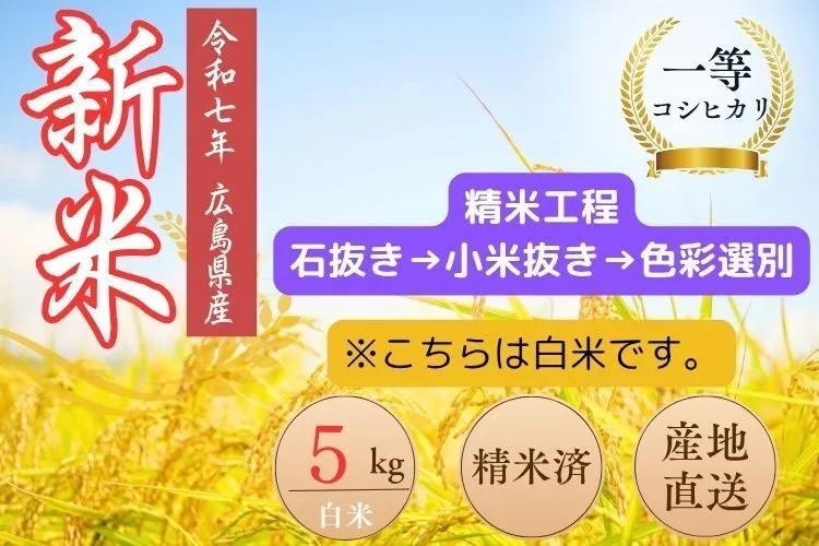 令和７年度　コシヒカリ（白米）５㌔　一等米　色彩選別