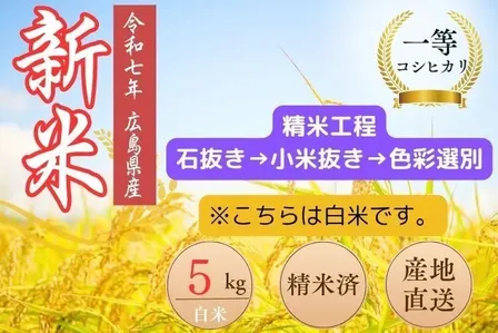 令和７年度　コシヒカリ（白米）５㌔　一等米　色彩選別