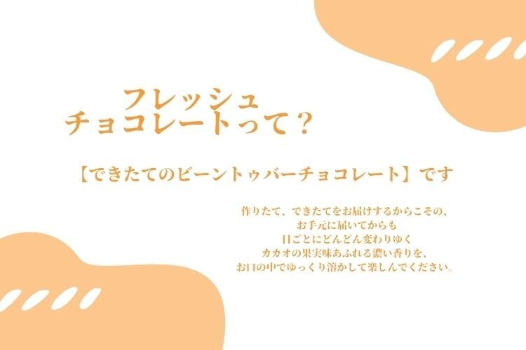 🍫有機カカオ豆をたっぷり使ったフレッシュチョコレート🍫
【2個セット】