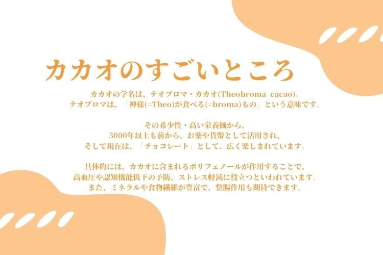 🍫有機カカオ豆をたっぷり使ったフレッシュチョコレート🍫
【2個セット】