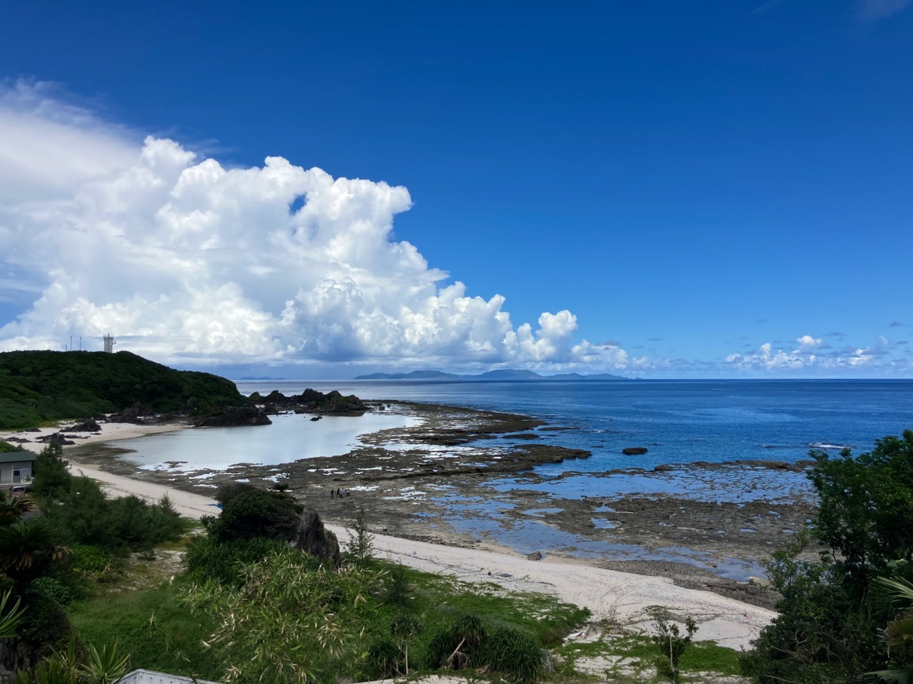 　徳之島の宝物🌴夫婦で楽しむ少量セット💑9/1出荷分のみ