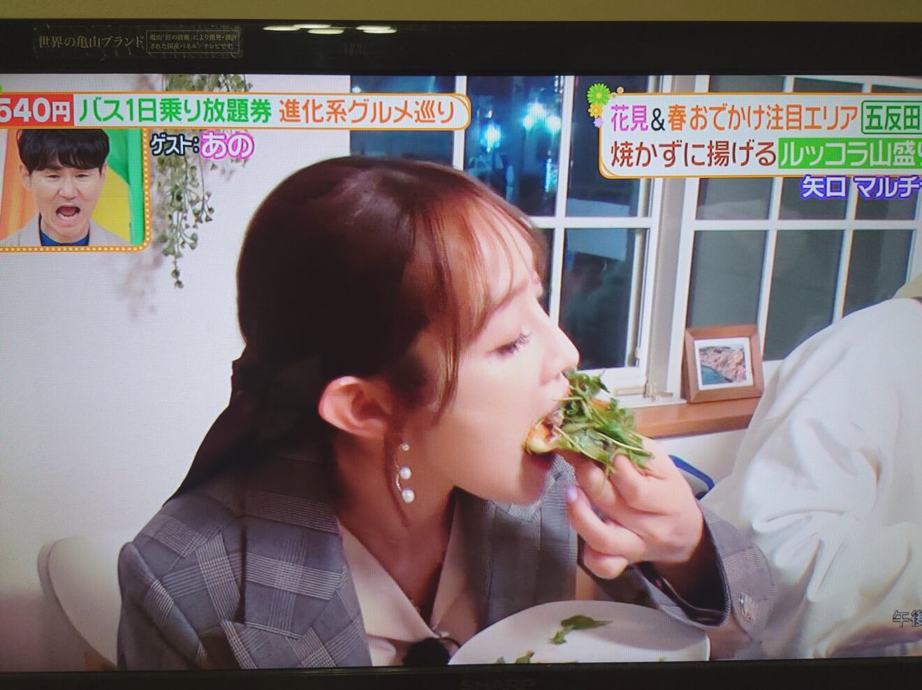 【揚げピザセット】①きのことゴルゴンゾーラチーズ＆②ビスマルクピザセット（ミニティラミス付）