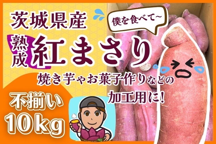 【訳あり品】茨城県産 さつまいも 紅まさり サイズいろいろ 10kg 基本送料込み