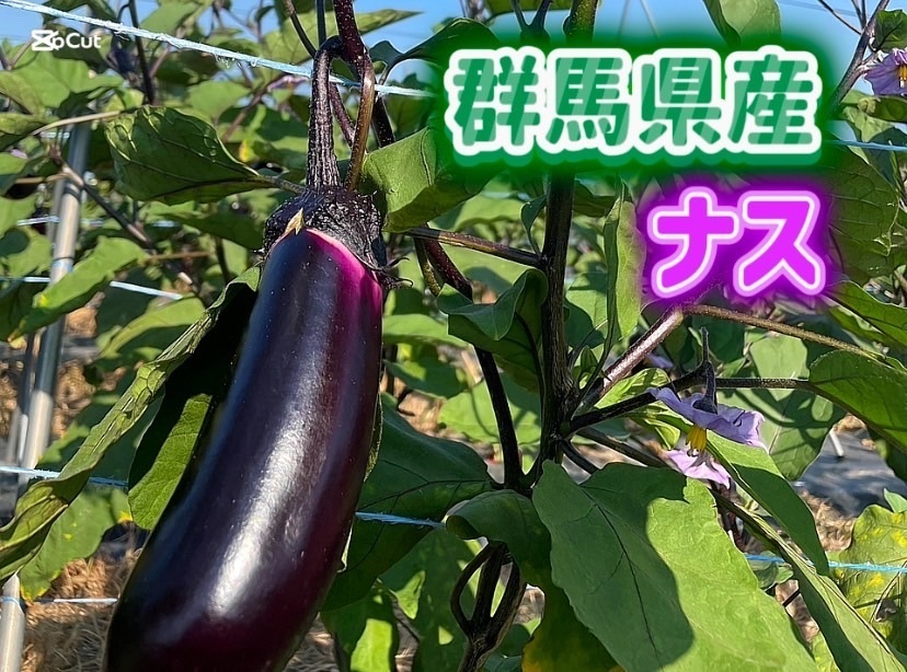 朝採れ秋茄子🍆