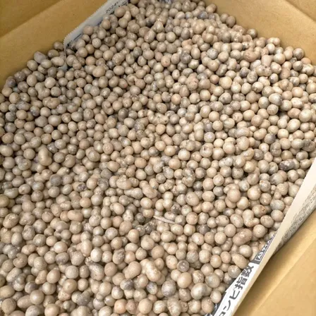 【Sサイズ】鳥取県産むかご 5kg 長芋 ねばりっこ サイズバラ 山芋