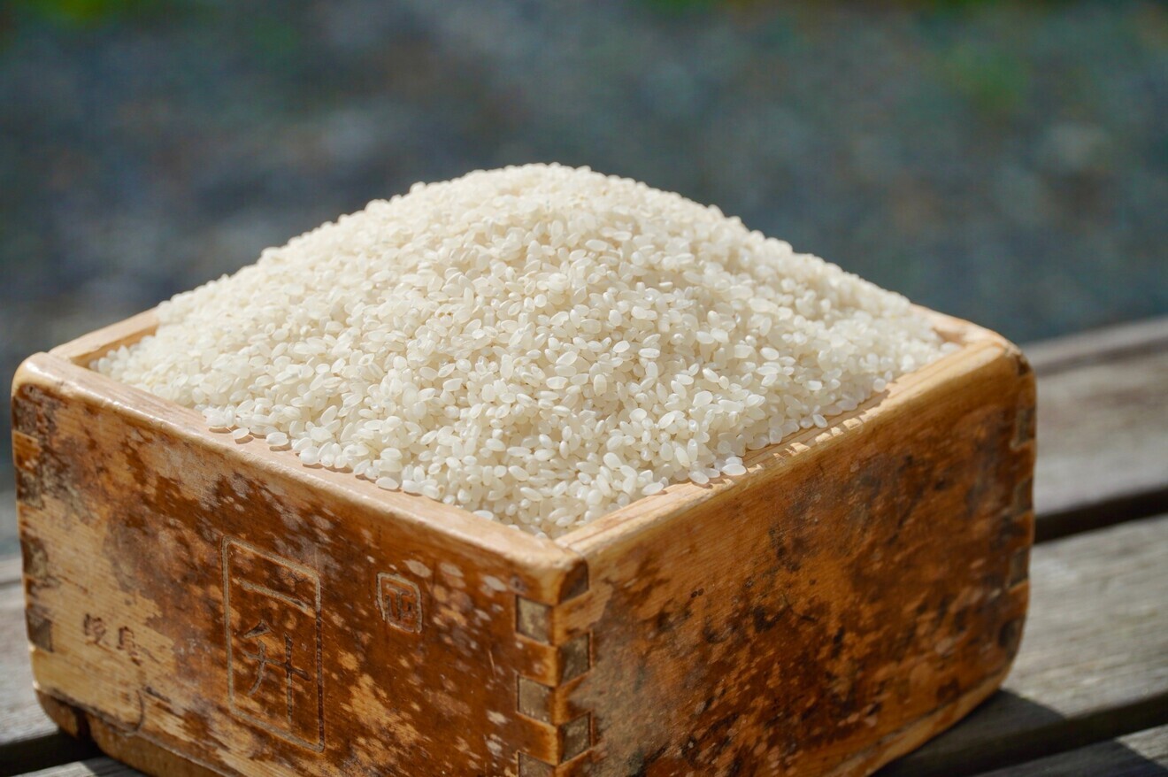 福島県産　新米（もち米）　こがねもち5kg×1袋