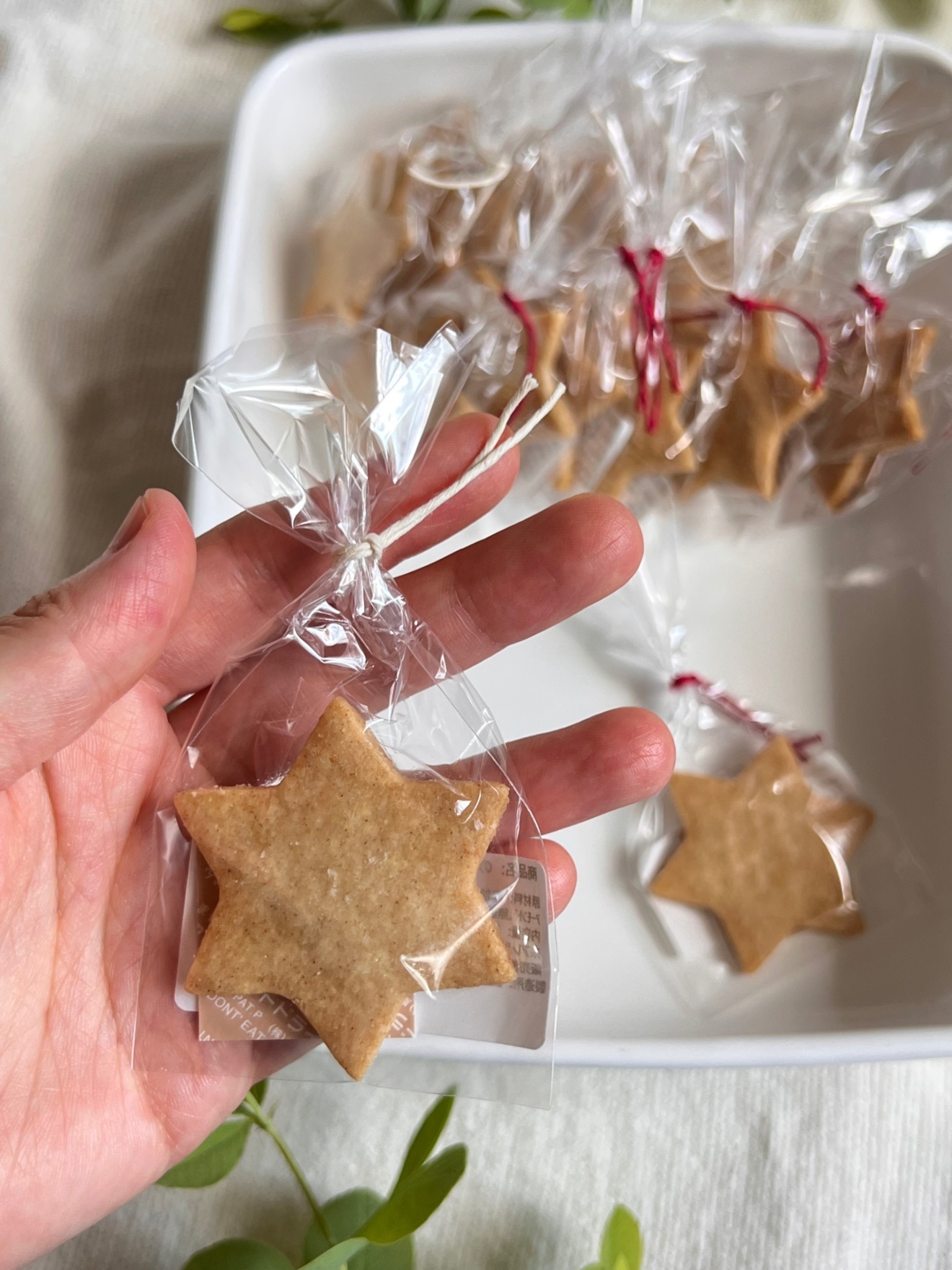 オフ会で配りやすい♫ 【個包装／送料込み】【ほんのり塩味がクセになる！のだ塩スタークッキー】
