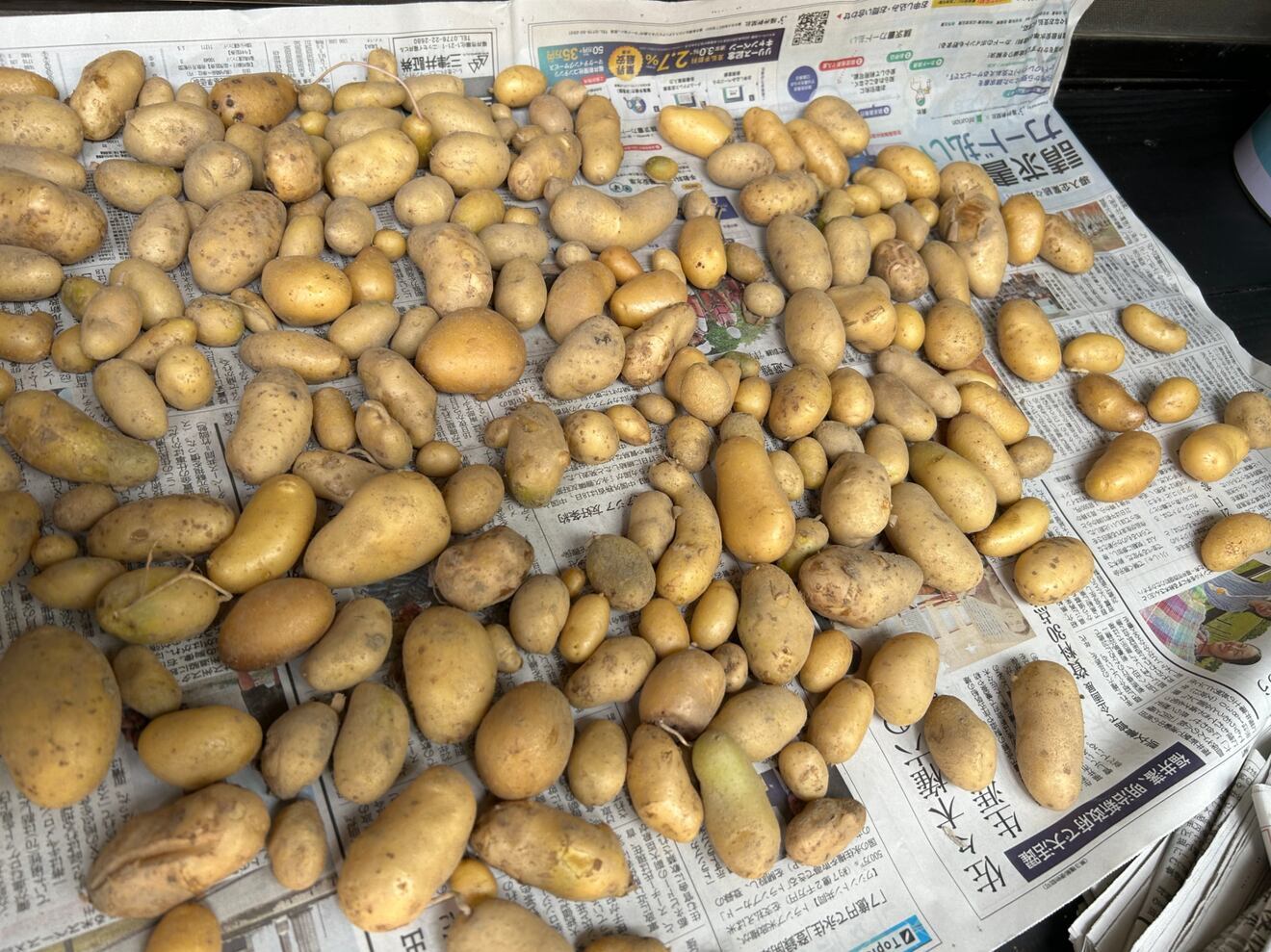 ジャガイモとナスのセット