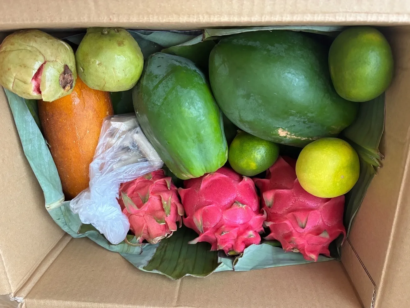 【世界自然遺産あまみより旬のお届け　5ｋｇ】　