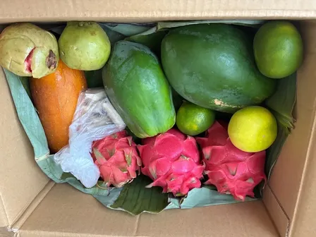 【世界自然遺産あまみより旬のお届け　5ｋｇ】　