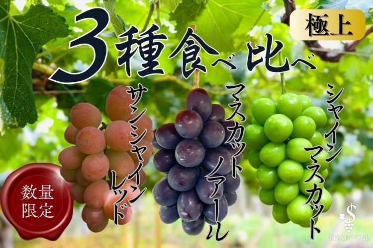(数量限定)皮ごと食べれるマスカット3色食べ比べセット
