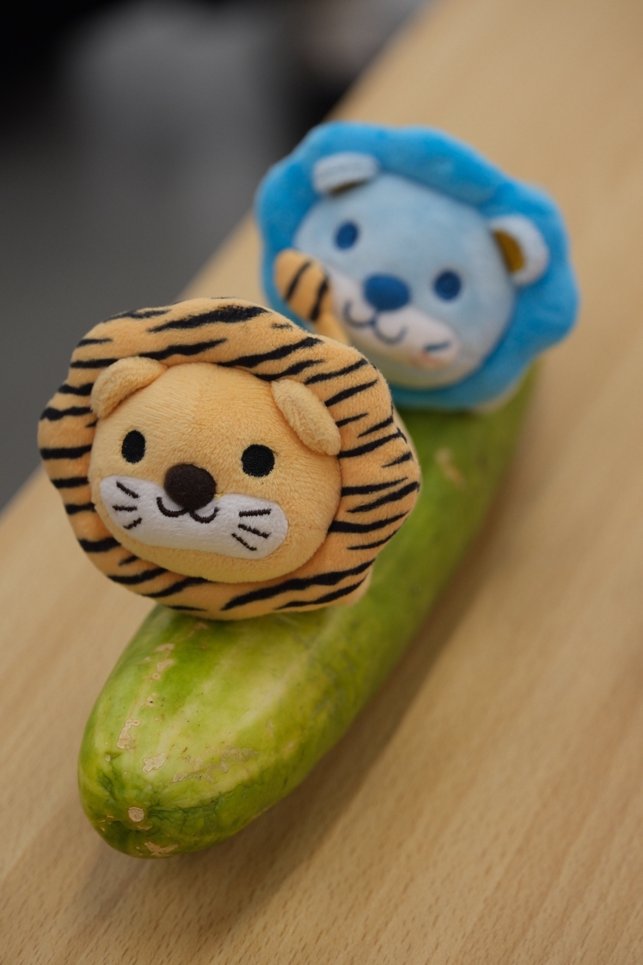 【世界自然遺産あまみより旬のお届け　5ｋｇ】　