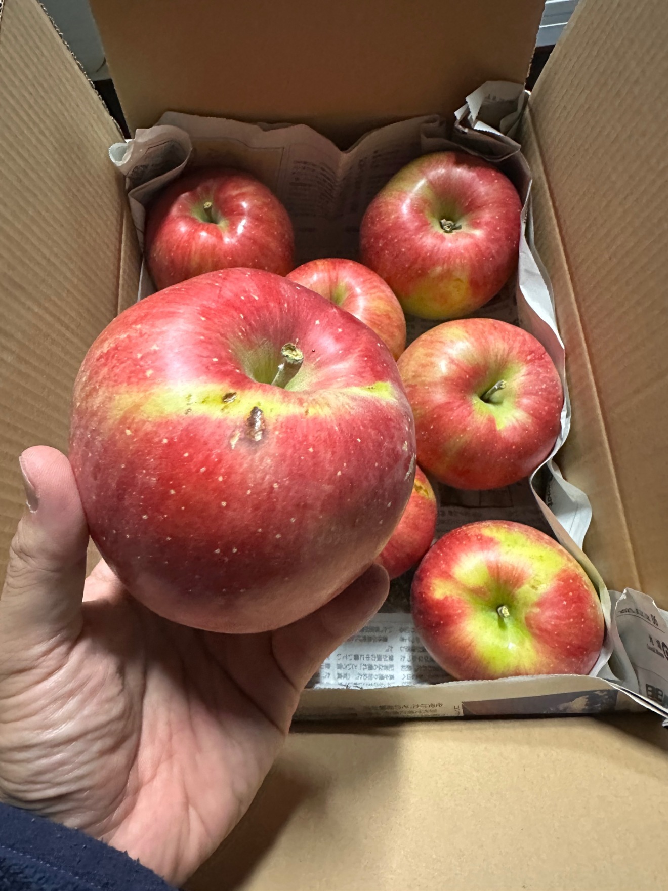 【農家直送】完熟シナノスイート3キロ　家庭用