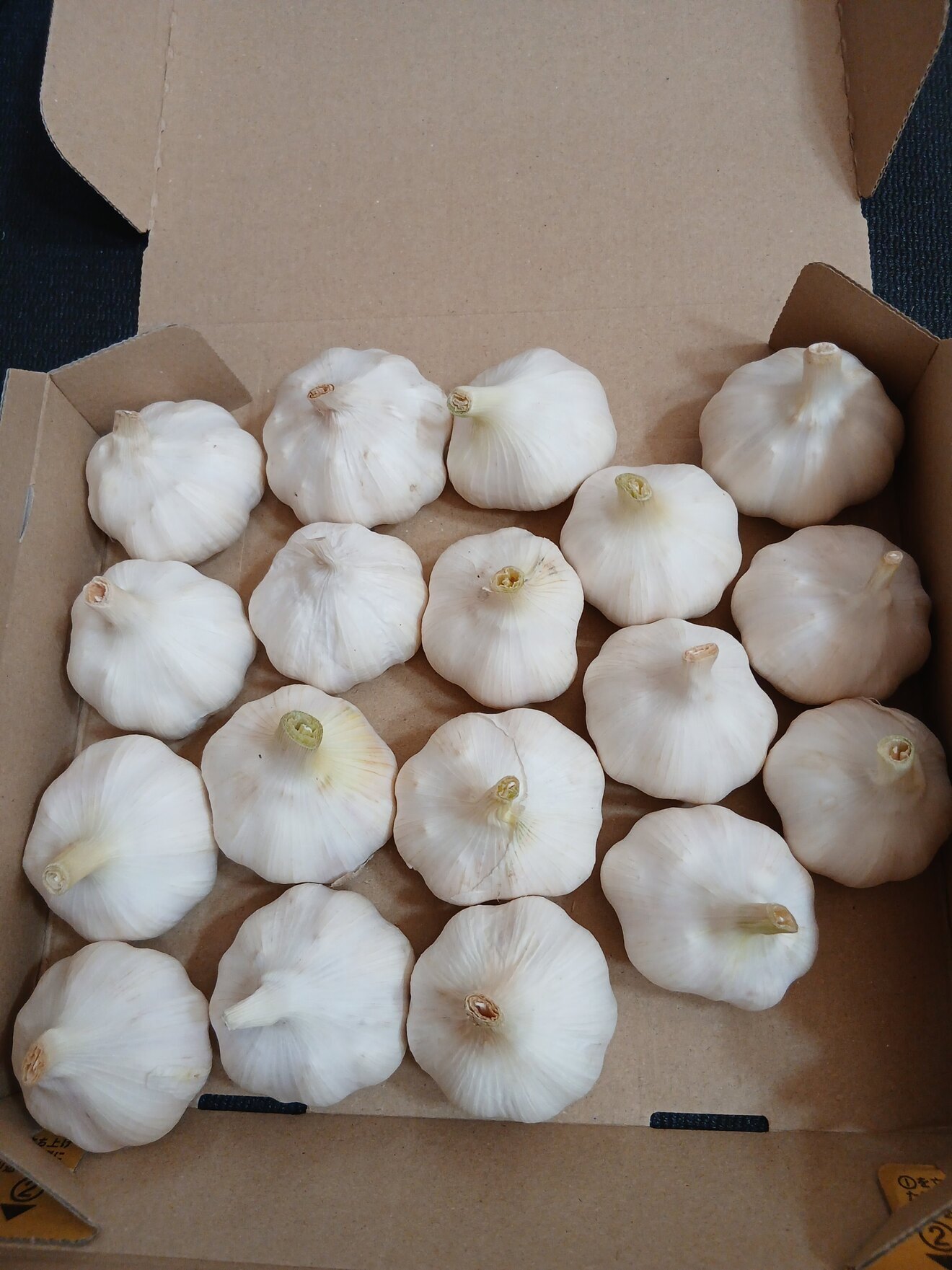 にんにく18個
令和7年6月に収穫
農薬は使用していません。