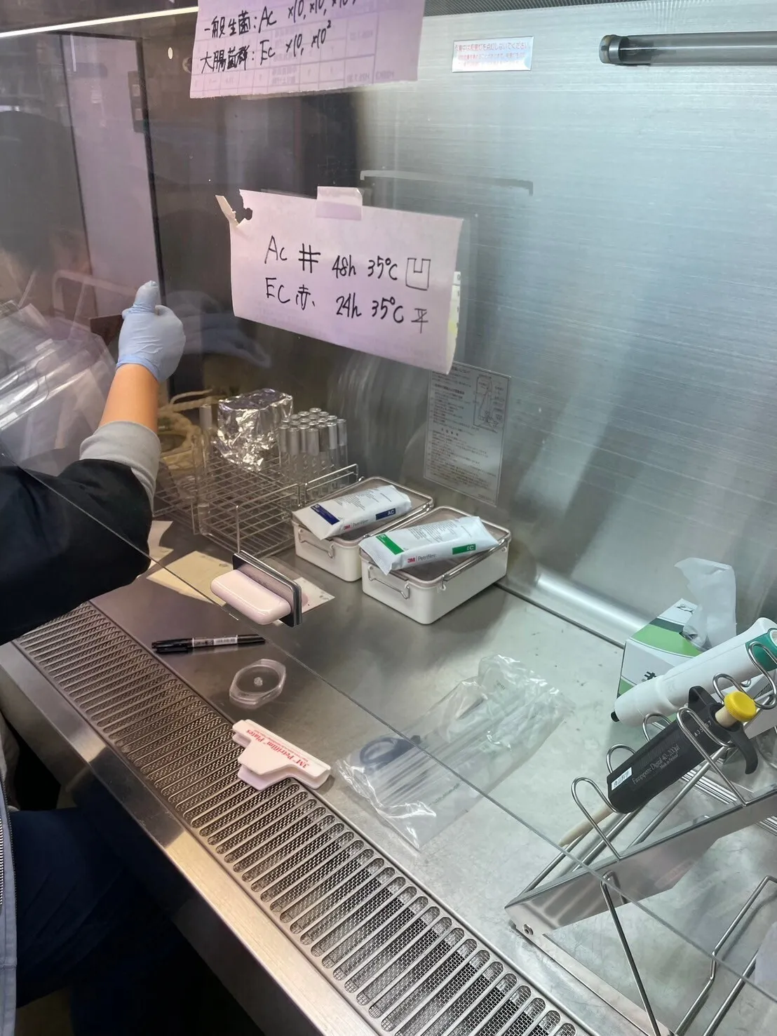 【サイズ大きめ】7〜10尾（250g）活き〆・急速冷凍！お刺身OK