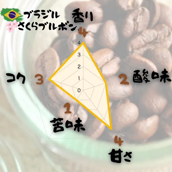 🇧🇷さくらブルボン 自家焙煎コーヒー豆 100g〜400g【焙煎 挽き方思いのまま】