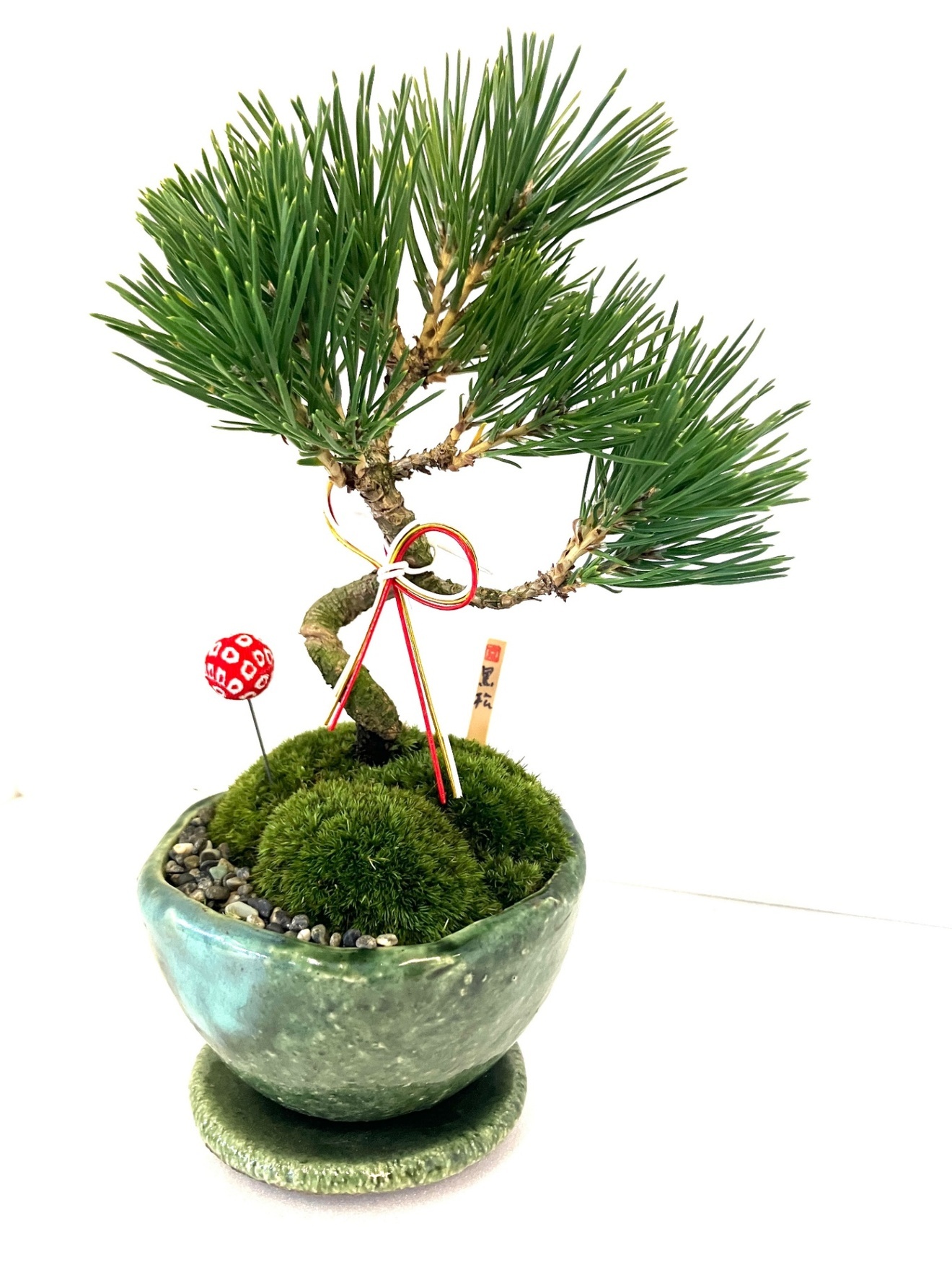 黒松ミニ盆栽｜苔と景石の和景色｜インテリアグリーン