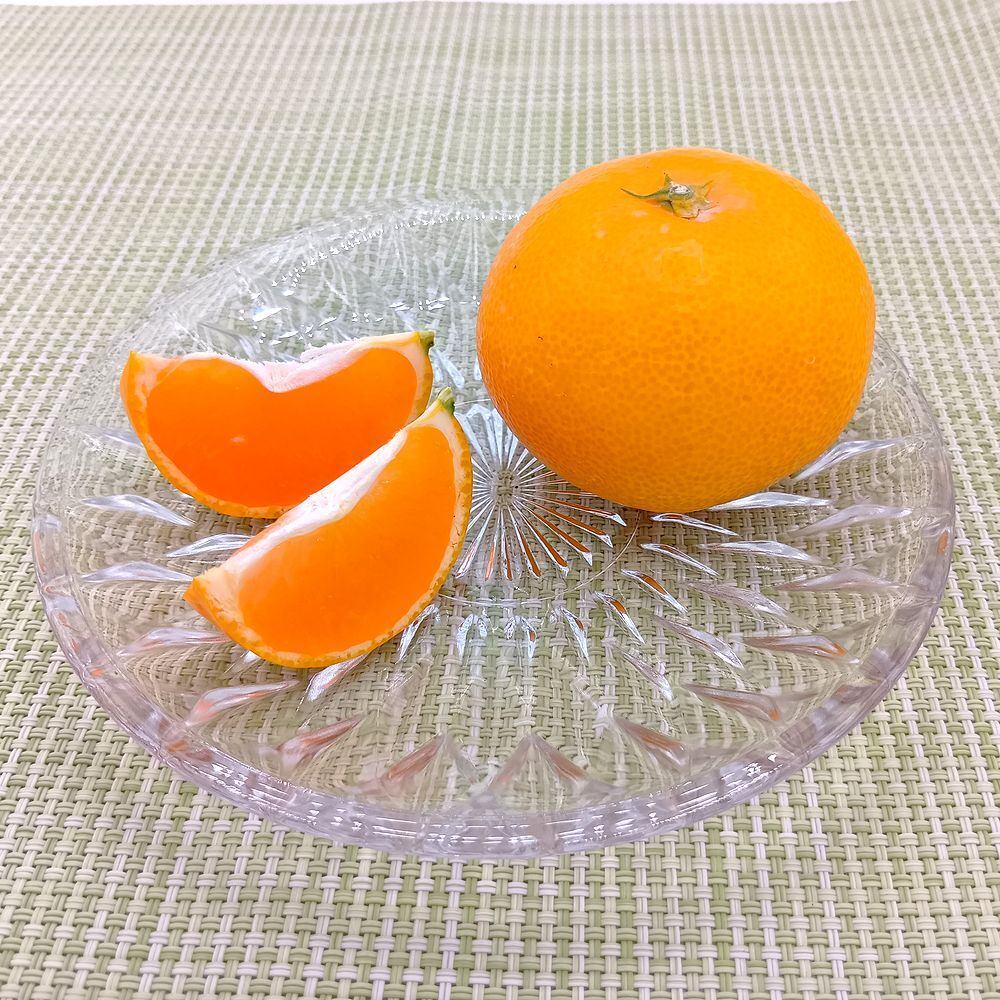 秋が旬！『早みかん』【ビッグサイズ 4.5kg】