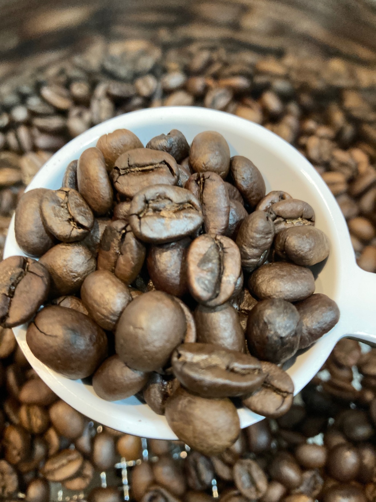 自家焙煎コーヒー【グアテマラ オリエンテ ナチュラル】