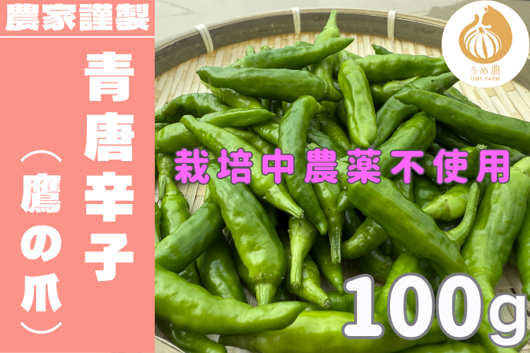 【新鮮・旬の刺激】──新鮮青唐辛子（鷹の爪） 100g 栽培時農薬不使用