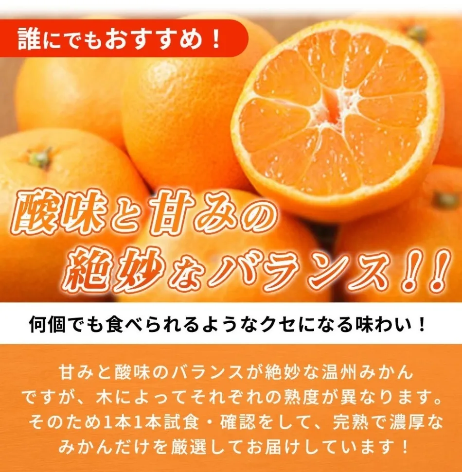 紀州有田産濃厚甘熟温州みかん2S～Lサイズ混合5kg※11月下旬頃～1月下旬頃発送予定
