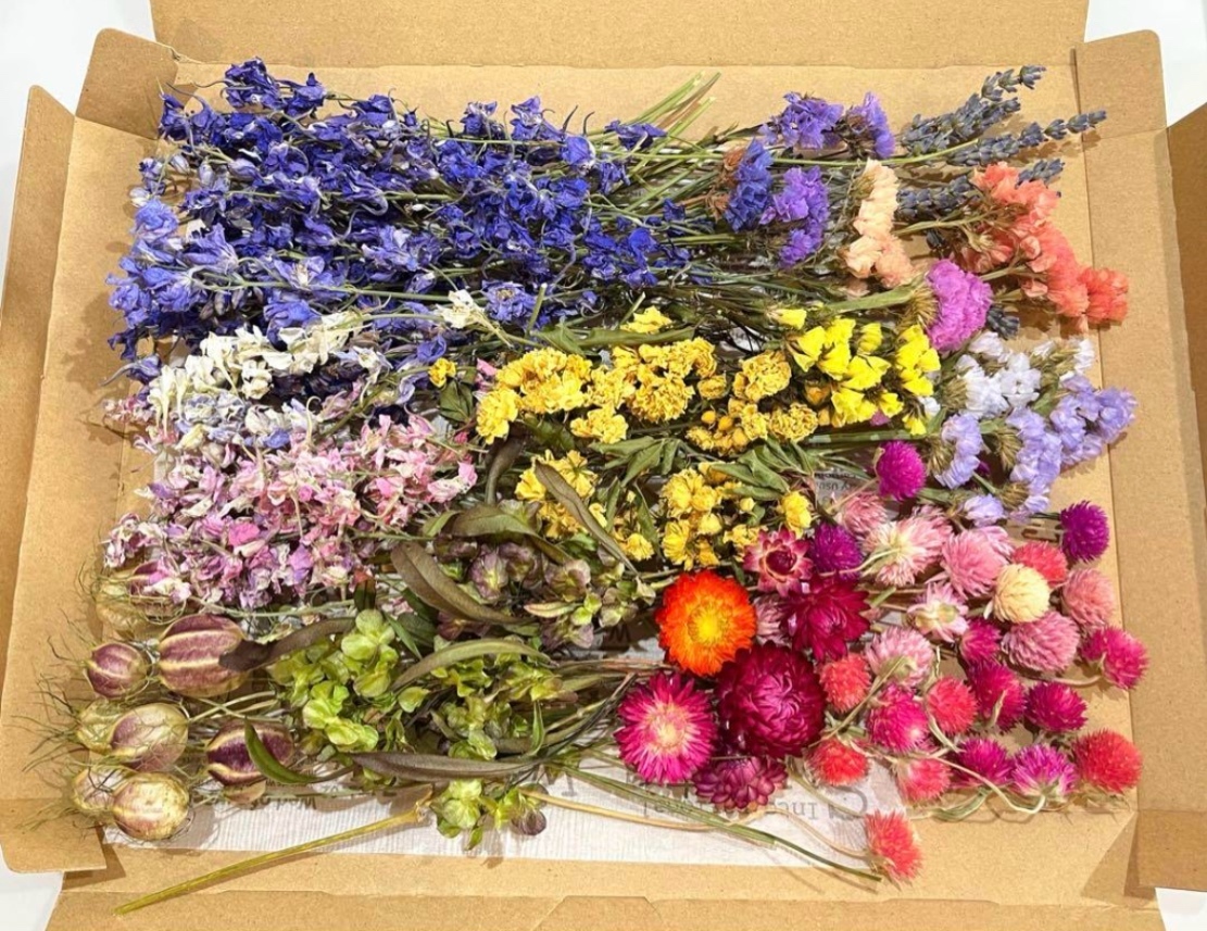 ドライフラワー花材8種類セット☆ドライフラワー花材