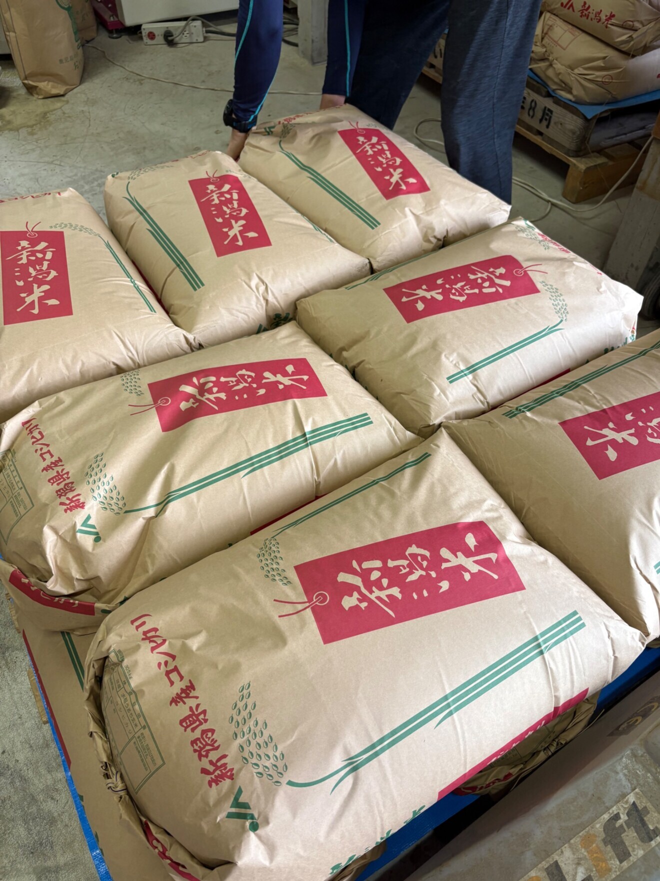 新潟県見附市産　特別栽培米コシヒカリ　白米　（ご家庭用）