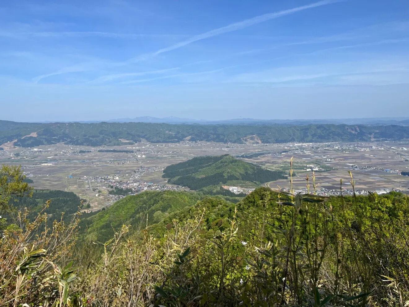山菜　雪深〜い新潟県南魚沼産　朝取れ新鮮しおで　500g