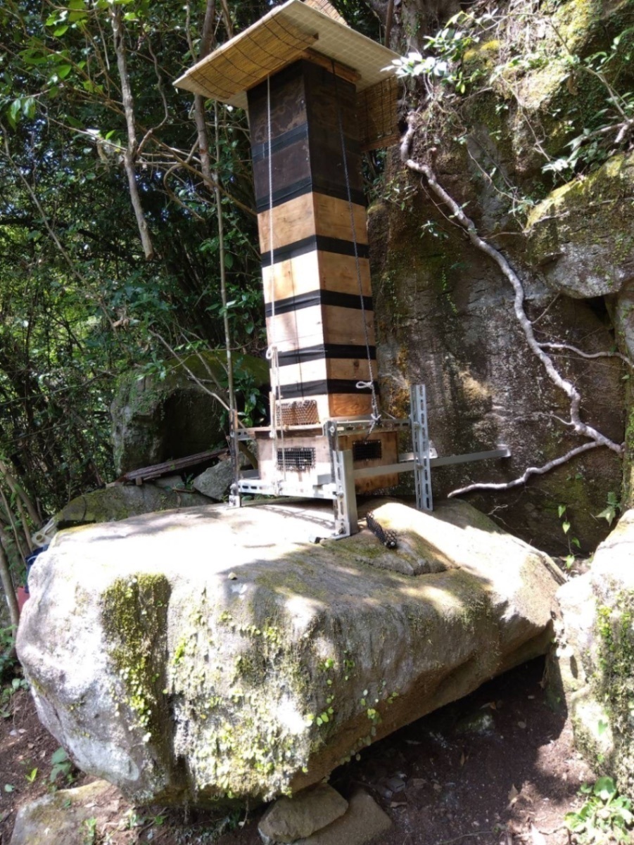 【和みつ】ニホンミツバチ100%の純国産はちみつ
非加熱・無添加　550g