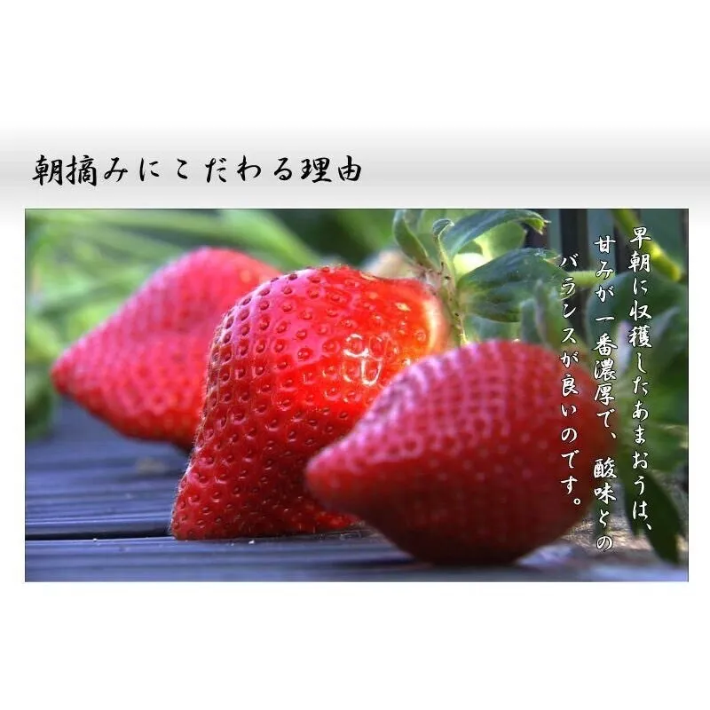 急速冷凍 丸ごと 小粒あまおう約1kg【朝摘み】新鮮！苺(イチゴ)の王様 いちご