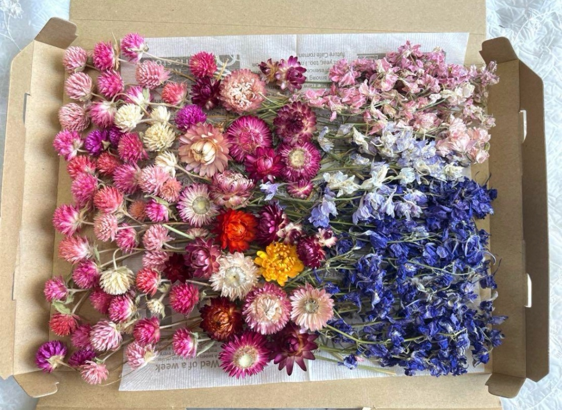 ドライフラワー花材3種類セット☆ドライフラワー花材