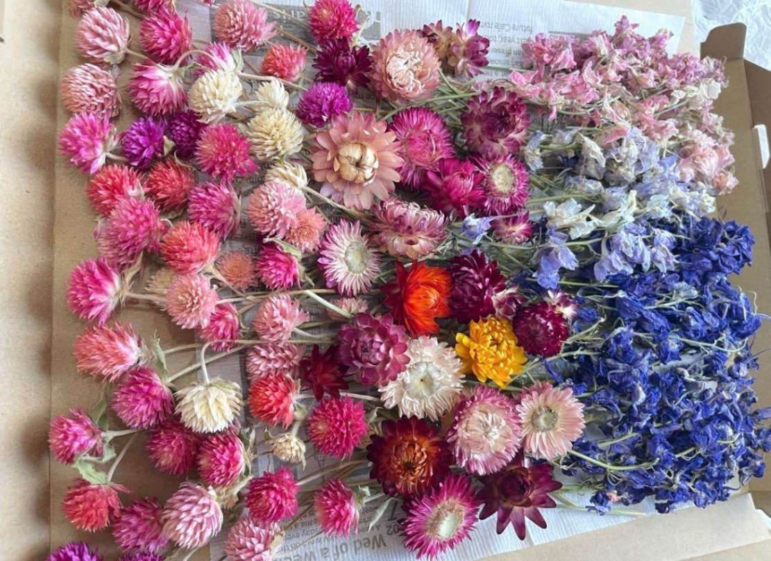 ドライフラワー花材3種類セット☆ドライフラワー花材